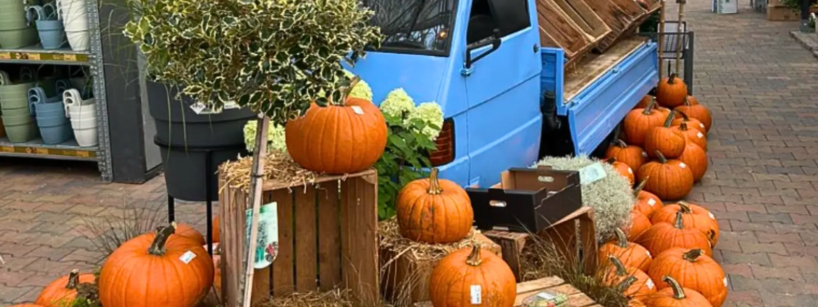 Herfst in huis en tuin!
