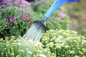 9x Watertips voor de tuin