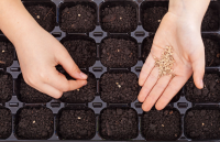 Voorkom moestuinmissers